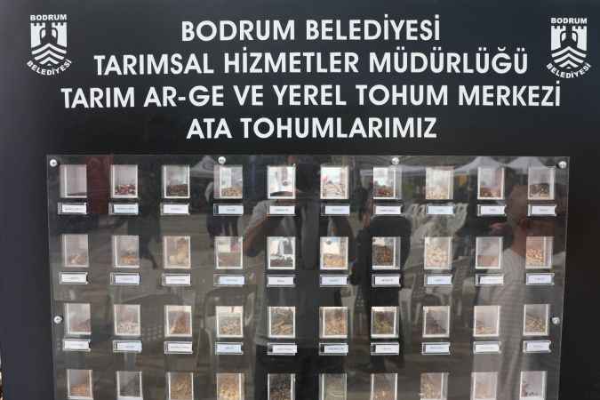 Bodrum'da tohumlar vatandaşlarla buluştu