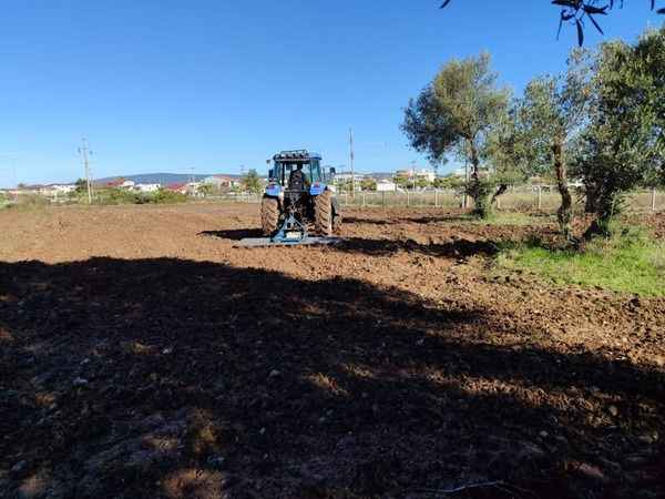 İzmir'de çiftçilerin yüzü gülüyor, araziler tarım için üretime kazandırıldı