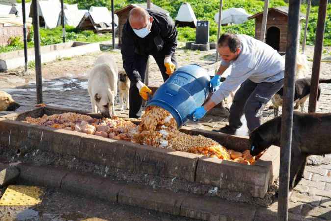 Balıkesir'de bu da oldu.. Böylesi görüldü ne duyuldu..! Çareyi güvenli kamerası koymakla buldular.. 