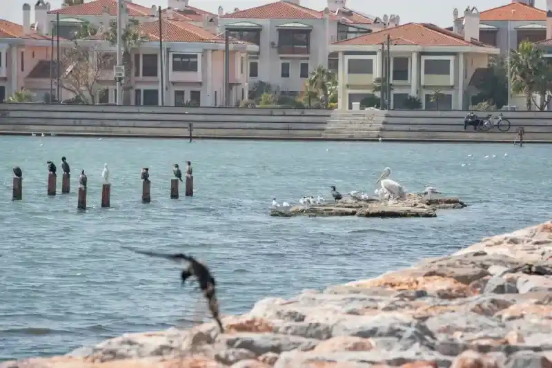 Başkan Soyer’den İzmirlilere müjde