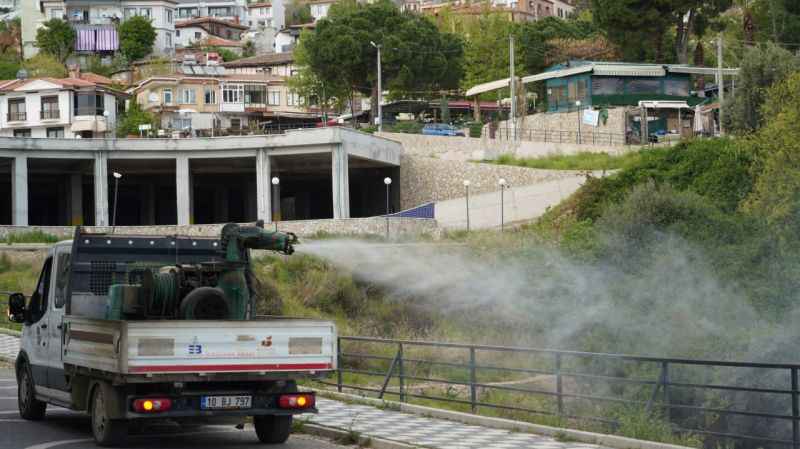 Edremit Belediyesi, uçkunla mücadelede seferberlik başlattı