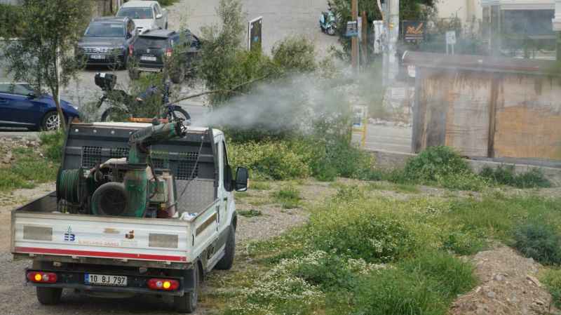 Edremit Belediyesi, uçkunla mücadelede seferberlik başlattı