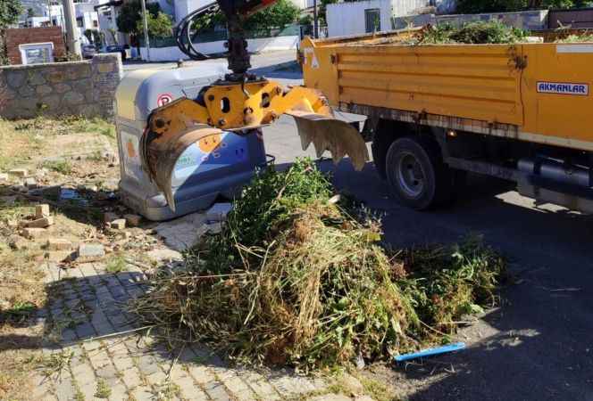 Bodrum'da temizlik alarmı 