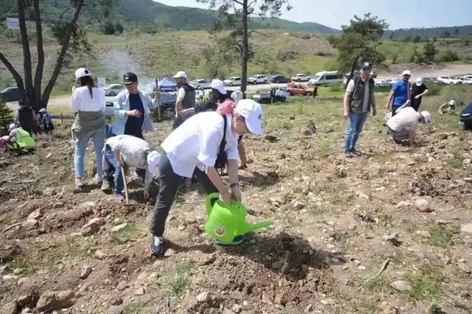 Balıkesir'de 30 bin fidan toprakla buluştu