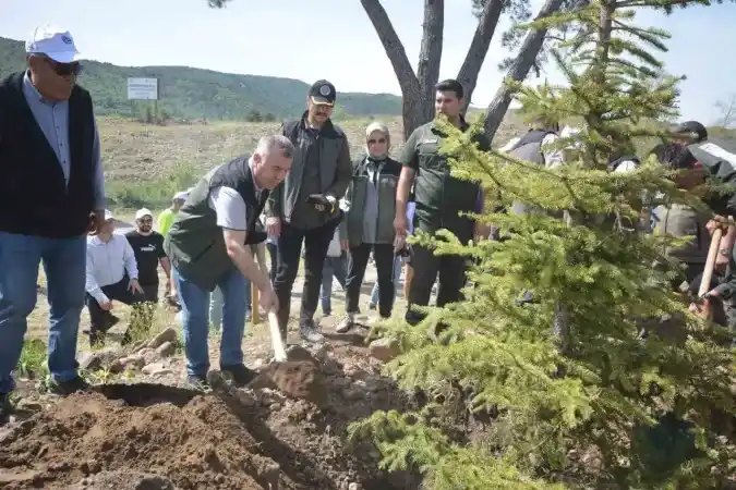 Balıkesir'de 30 bin fidan toprakla buluştu