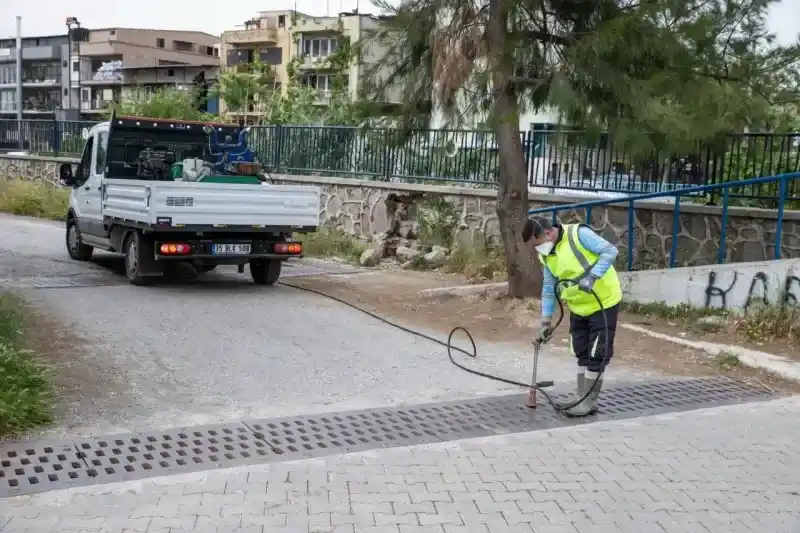 İzmir'de sivrisinek ve haşere alarmı 