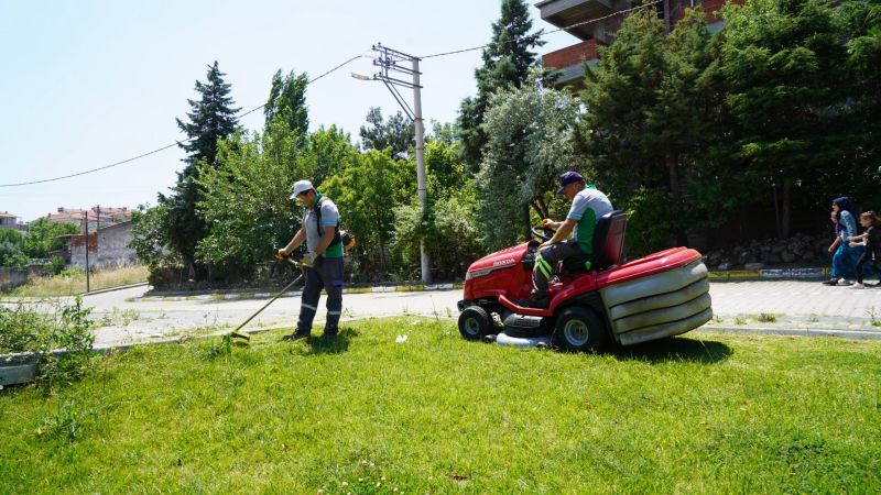 Altıeylül'de parklara bahar bakımı