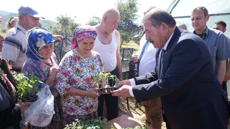 Milas Belediyesi’nden üreticilere fide desteği