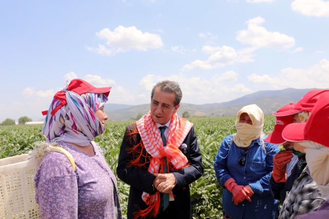 Başkan Yetişkin emekçi kadınlarla enginar hasadı yaptı