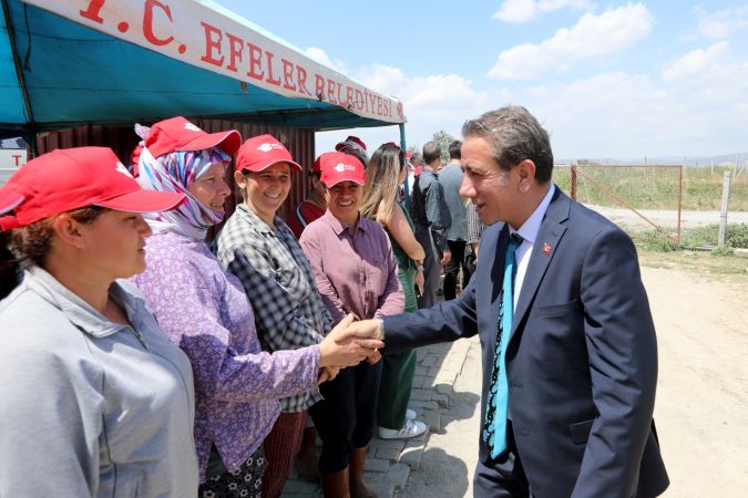 Başkan Yetişkin emekçi kadınlarla enginar hasadı yaptı