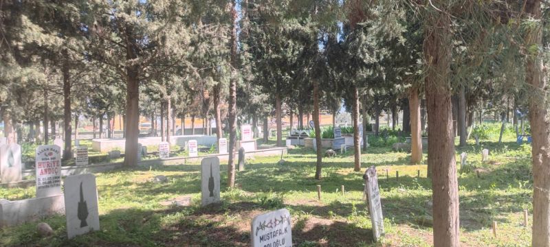 Büyükşehir mezarlıklarda bakım ve temizlik çalışmaları başlattı