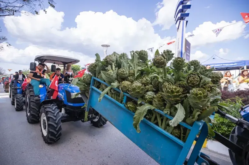 Urla'da Uluslararası Enginar Festivali başladı