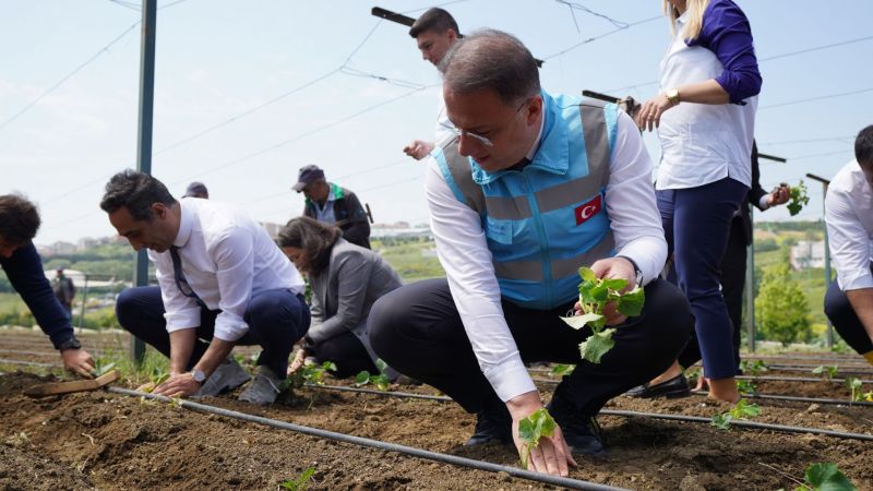 Yaşam Bahçesi’nde yazlık fideler toprakla buluştu