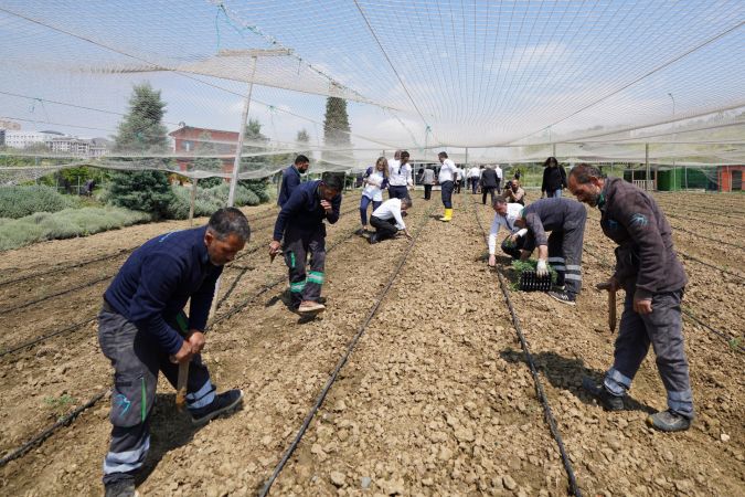 Yaşam Bahçesi’nde yazlık fideler toprakla buluştu