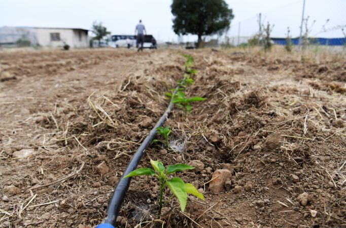 Bornova'da Tarım eğitiminde seferberlik