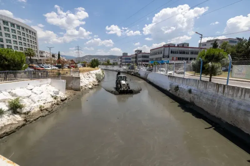 Kokuya karşı mücadelenin etkileri bu yaz görülecek