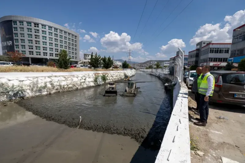 Kokuya karşı mücadelenin etkileri bu yaz görülecek