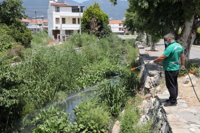 Edremit Belediyesi sinek ve haşere mücadelesine devam ediyor