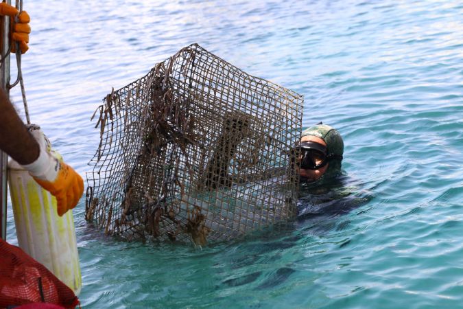 Bodrum'da deniz dibi temizliği etkinliğinin 5. etabı Akyarlar'da yapıldı