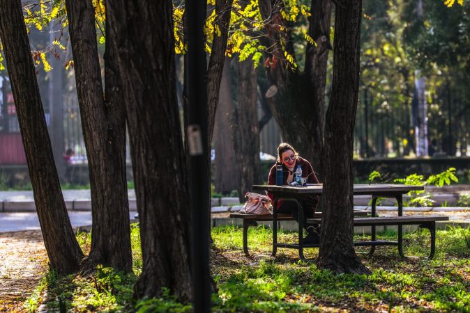 Dokuz Eylül yeşil kampüsleriyle Dünya​nın en çevreci üniversiteleri arasında