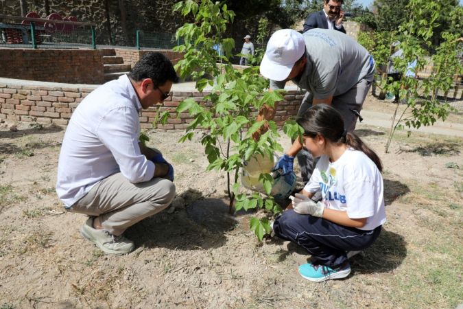 Bodrum’da Dünya Çevre Günü coşkuyla kutlandı