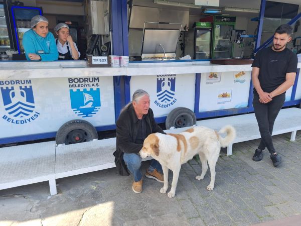 Bodrum Belediyesi'nden 3 Bin 738 can dosta müdahale