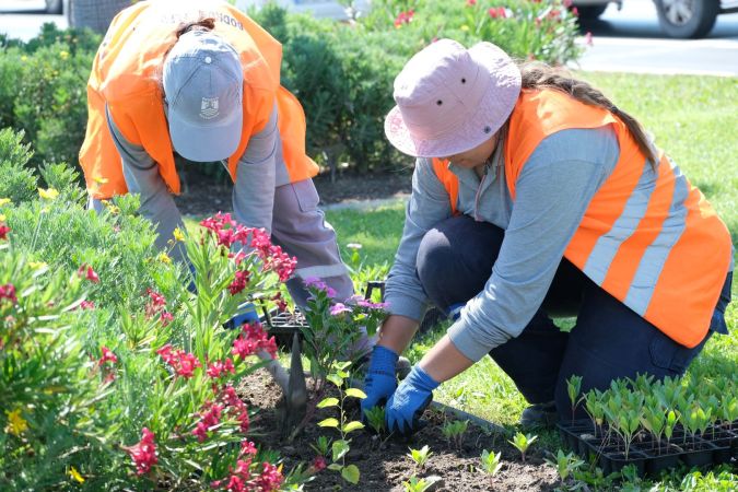 Bodrum'da kavşak ve refüjlere yaz dokunuşları