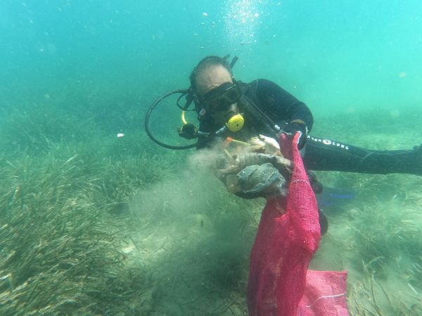 Bodrum Belediyesi'nin deniz dibi temizlik etkinlikleri devam ediyor