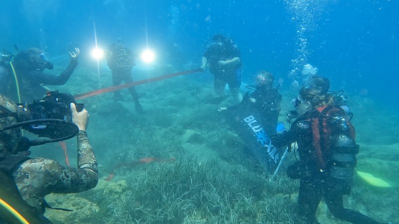 Bodrum'da Blue Exile Art Project Sualtı Parkı açıldı