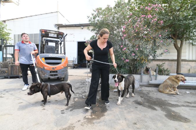 Can Dostları yangından kurtarıldı