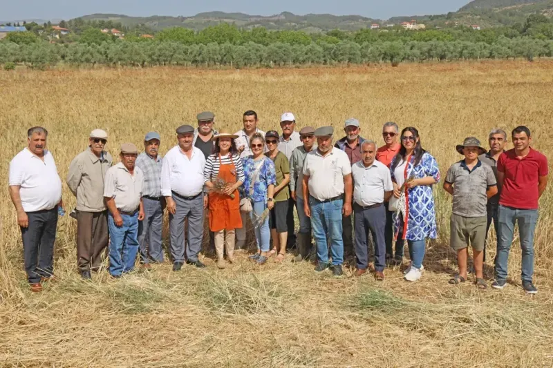 Başkan Köksal, “Kaybolmaya yüz tutmuş karakılçık buğdayımızın üretimini yeniden artıracağız”