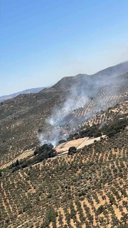 Burhaniye çöplüğünde çıkan yangın ormanlık alana sıçradı