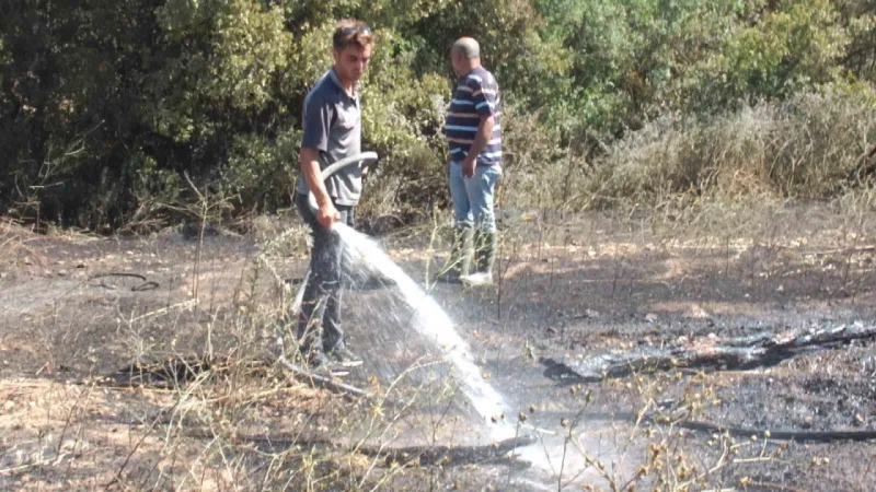 Balıkesir’deki yangında yüzlerce zeytin ve meyve ağacı zarar gördü