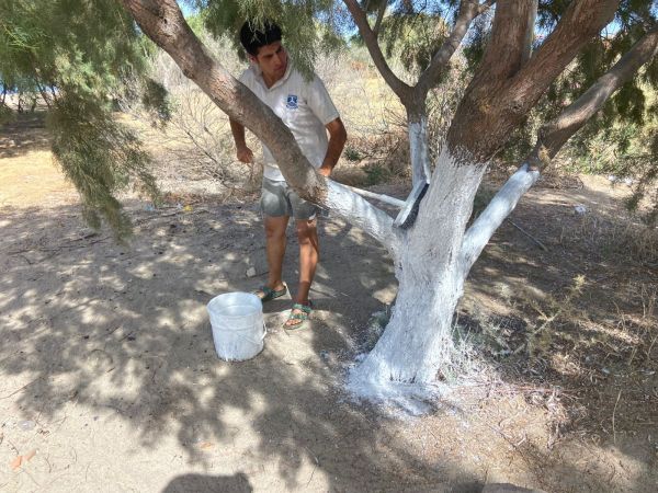 Bodrum Belediyesi ecdadı unutmadı 