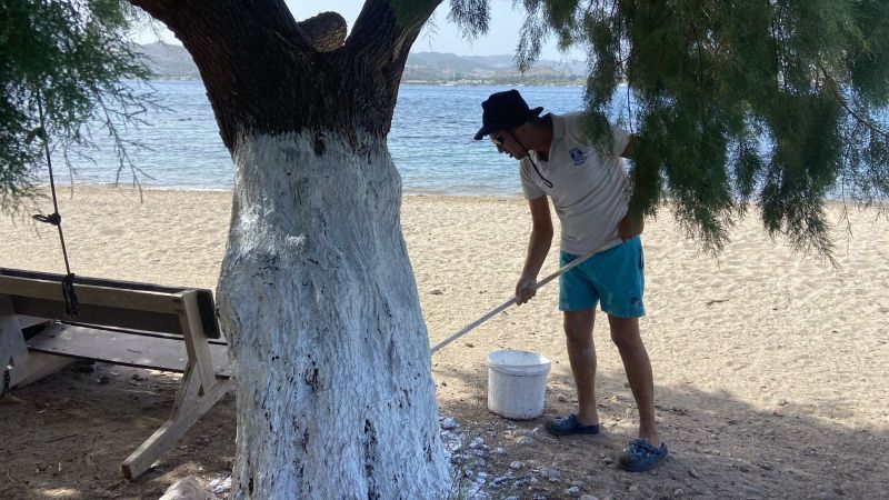 Bodrum Belediyesi ecdadı unutmadı 