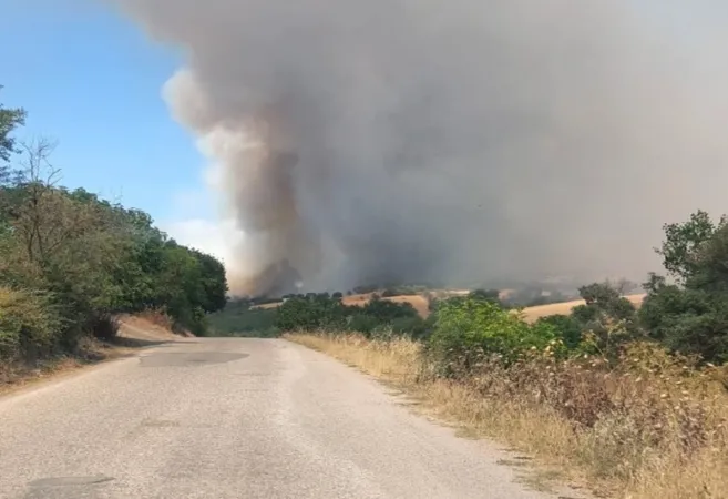 Balıkesir yangınlarla boğuşuyor.. Son 24 saatte 69 yangın..!