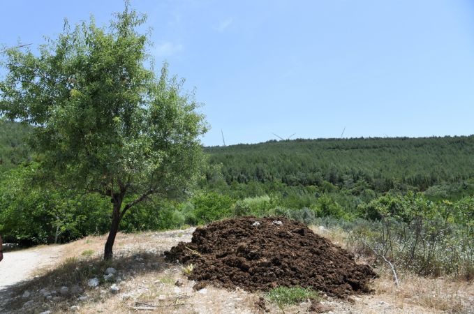 Bornova Belediyesi’nden çiftçiye gübre desteği