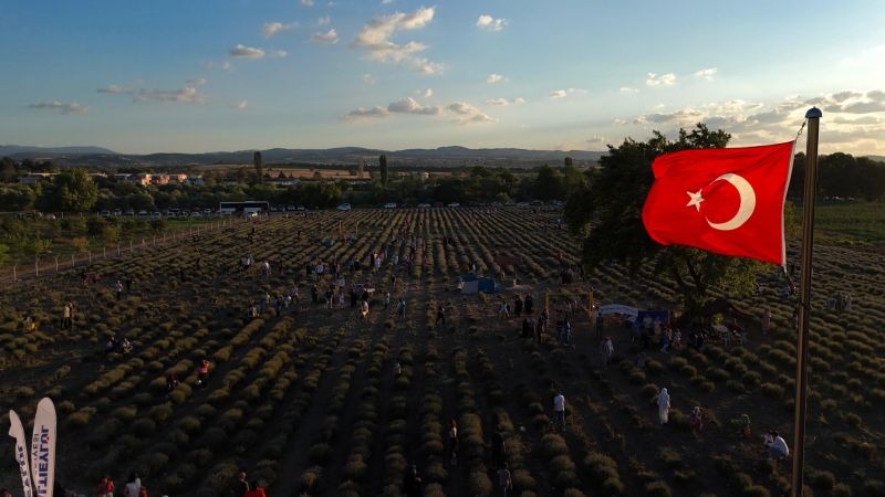 Altıeylül'ün Lavanta Günleri'ne ziyaretçi akını