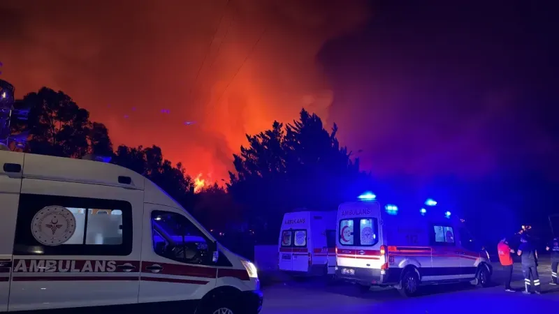 Başkan Tugay, Selçuk'ta yangın bölgesinde incelemelerde bulundu