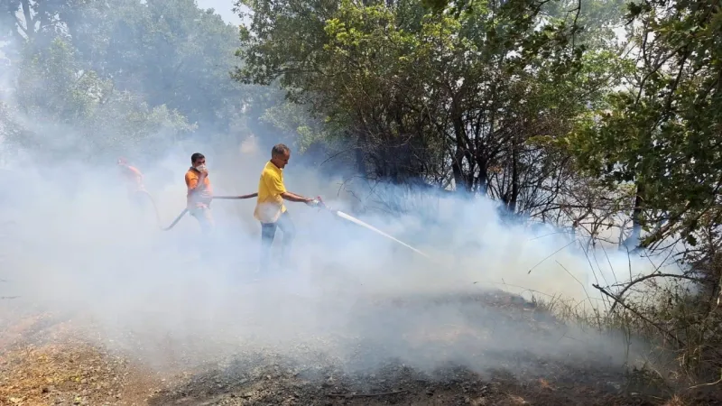 Son Dakika.. Balıkesir alev alev.. Arazi yangını ormanlık alana sıçradı..