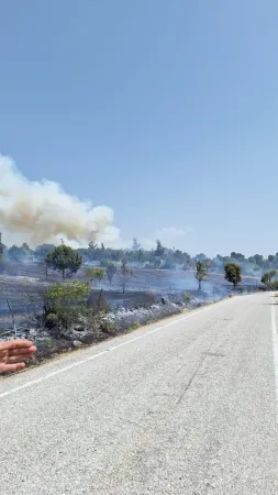 Son Dakika.. Balıkesir alev alev.. Arazi yangını ormanlık alana sıçradı..