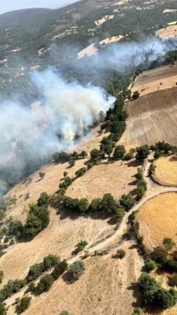 Son Dakika.. Balıkesir alev alev.. Arazi yangını ormanlık alana sıçradı..