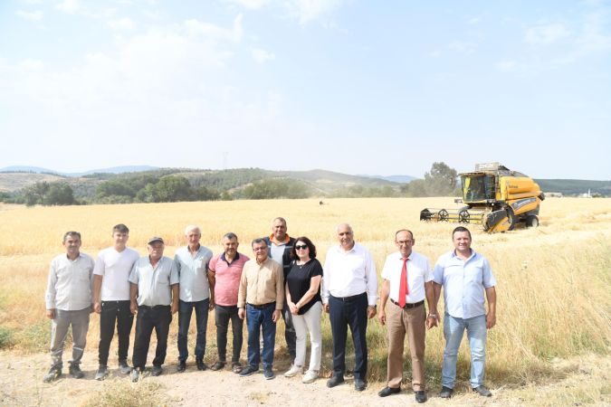 Altieylül’de altın başak hasadı yapıldı