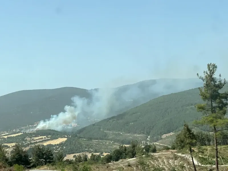 Son Dakika.. Balıkesir alev alev.. Arazi yangını ormanlık alana sıçradı..