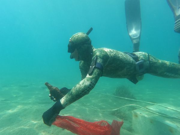 Bodrum Gündoğan’da deniz dibi temizliği