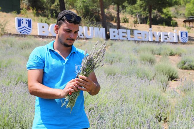 Bodrum Gençlik ve Tarım Kampı'nın birinci dönemi tamamlandı