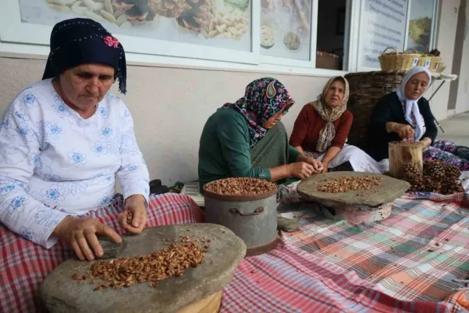 Muğla’da çam fıstığı paneli düzenlendi