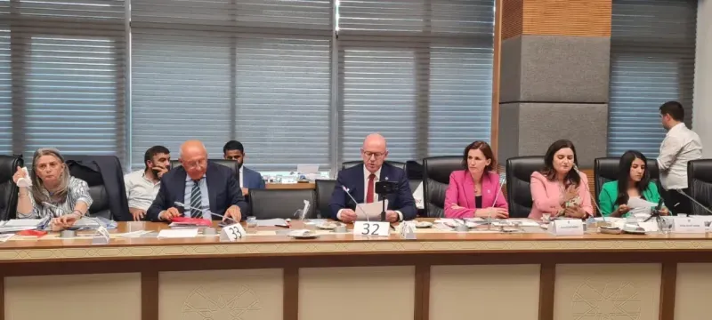 CHP'li Serkan Sarı: “AKP İktidarı çağdışı kavramlarla kanun çıkarmaya çalışıyor”