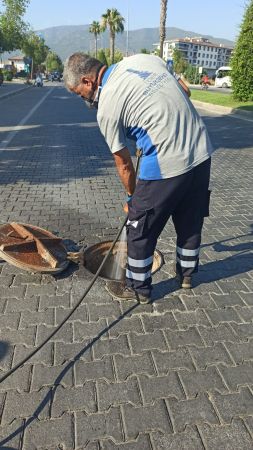 Efes Selçuk’ta haşereye geçit yok