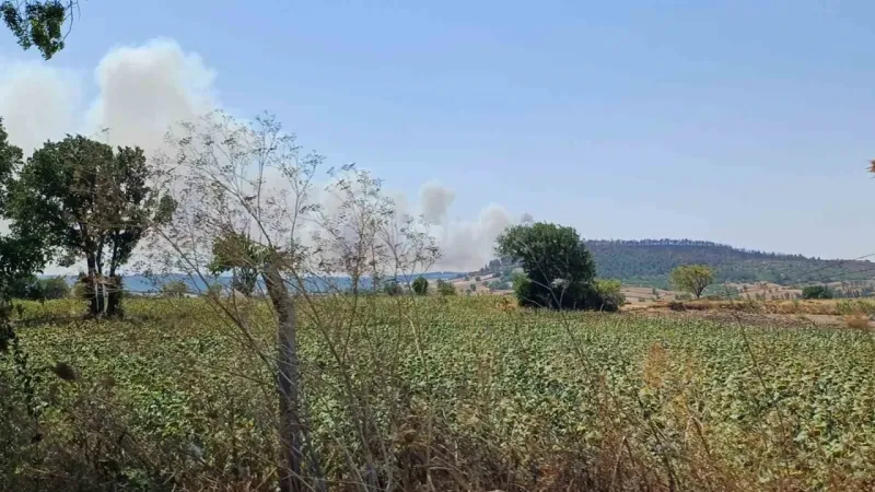 Balıkesir yangınlarla boğuşuyor.. Arazide çıkan yangın ormana sıçradı..